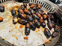 -鼎香缘海鲜自助火锅烤肉(锦辉购物广场店)