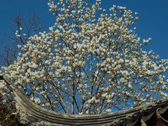 -江宁织造博物馆