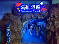 -蓬莱欧乐堡海洋极地世界