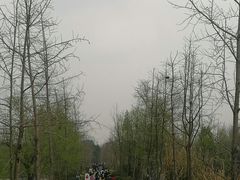 -白鹭湾湿地公园