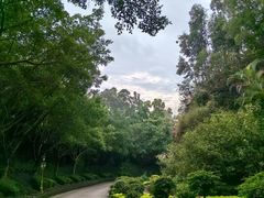 -广州莲花山旅游区