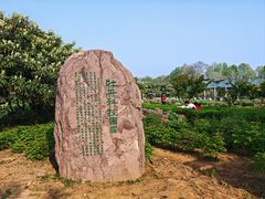 -洛阳市隋唐城遗址植物园