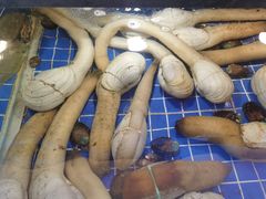 -外滩·云南人家(昆明旗舰店)