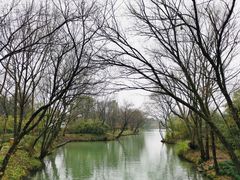 -西溪国家湿地公园