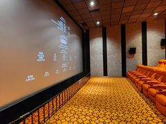 -华美国际影城(旧宫永辉店)