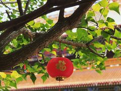 -东莞市大岭山森林公园