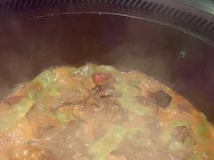 -挂雪铁锅炖大鹅