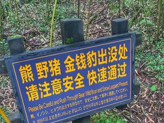 -大九湖