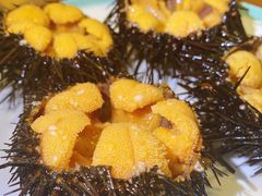 -海胆小馆(东北水饺·春柳店)