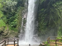 -莫里热带雨林景区