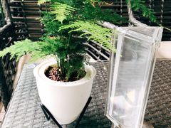-杂咖zacup(领展中心城店)