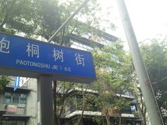 -泡桐树街