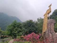 -陕西省红河谷森林公园
