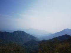 -大岭沟猕猴桃谷风景区