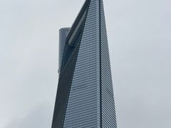 -上海市东方医院(总院)