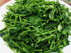 -明仕田园