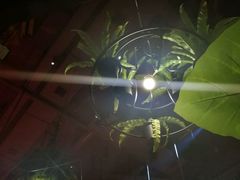 -胡桃里音乐酒馆(曲江店)