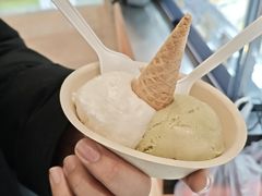-极拉图·现制冰淇淋(大卫城店)
