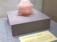 -南京博物院