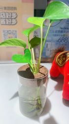 点击看大图 -Girmainy SPA杰美妮