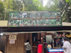 -西双版纳原始森林公园