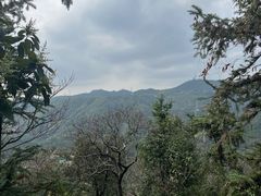 -田心森林公园