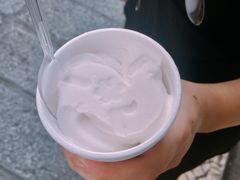 -洪馨椰子
