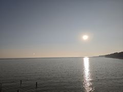 -贡湖湾湿地公园
