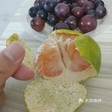 【青夏金秋】葡萄/橘子🍊