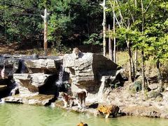 -宁波野生动物园