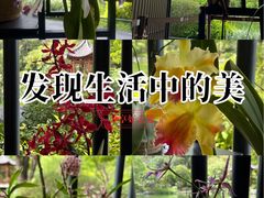 -云溪植物园