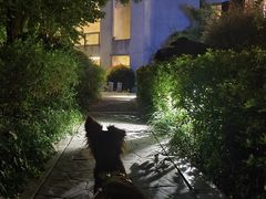 -苏州环秀晓筑养生度假村