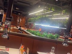 -猫爪爪原切自助烤肉(观音桥阳光世纪店)
