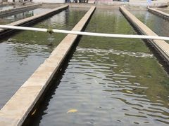 -青龙潭鱼庄