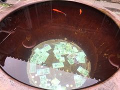 -沈从文故居