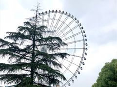 -蠡湖大桥公园