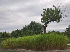 -北坞公园