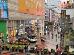 -蜀大侠火锅(总府路店)