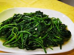 -巫记鸡饭店