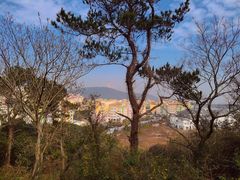-平湖九龙山旅游度假区