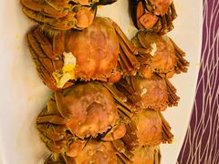 -欢乐海岸美食联盟