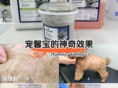 -汪小喵宠物·戴维斯乐芳希施宠馨宝皮毛调理洗护店