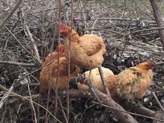 -南京金牛湖风景区