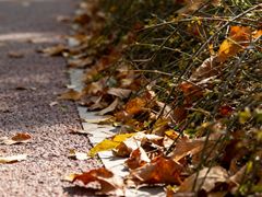 -西安市长乐公园