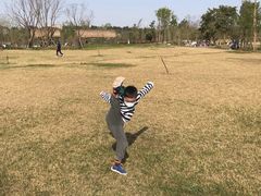 -白鹭湾湿地公园