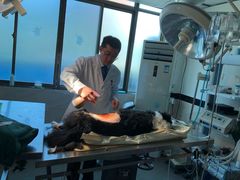 -安安宠医·安宠宠物医院