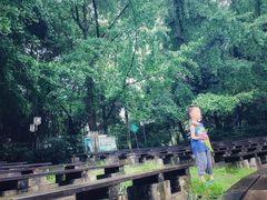 -成都市活水公园