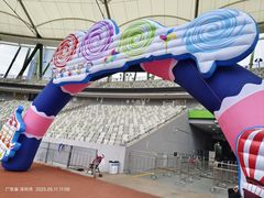 -深圳市宝安体育中心体育场