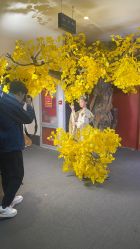 -盘子女人坊古装写真摄影(天津总店)