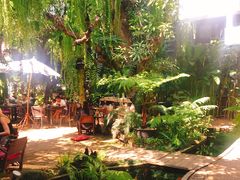 -Fern Forest Cafe